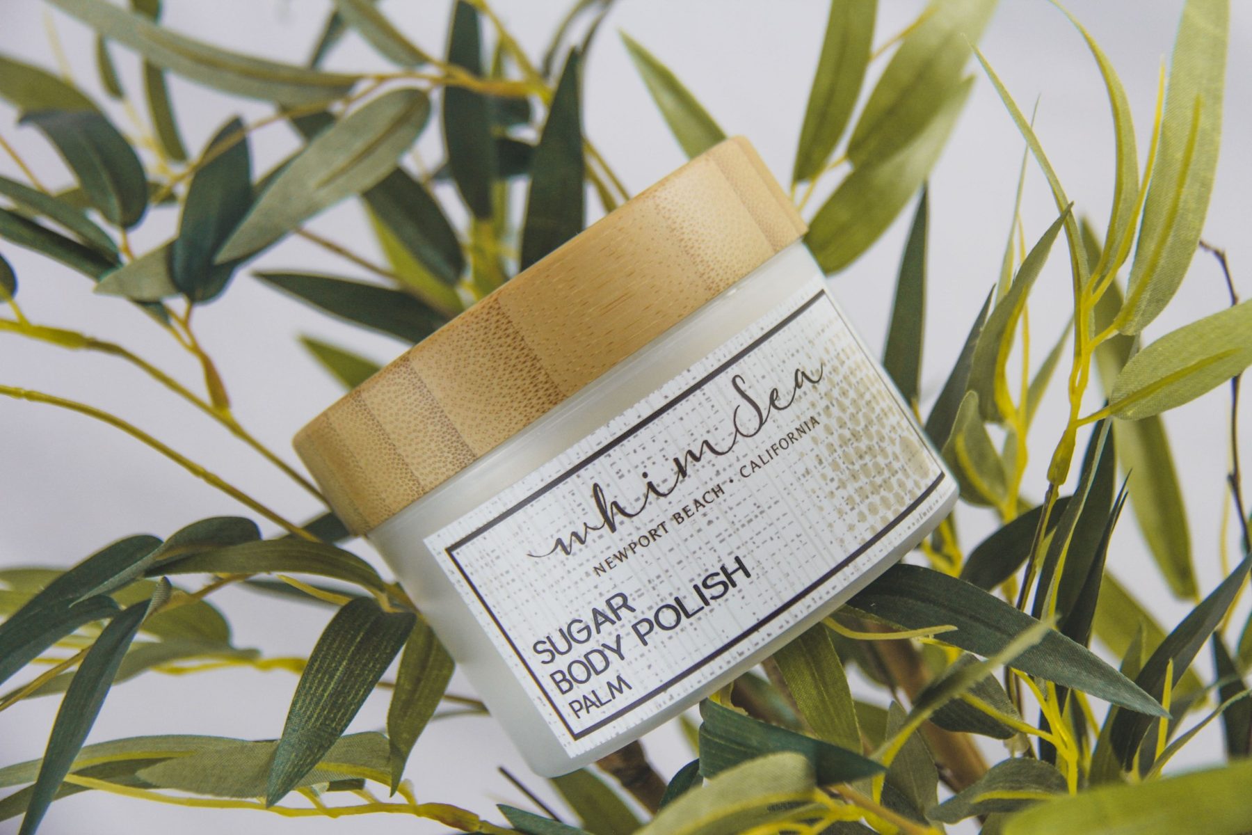WhimSea Sugar Body Polish jar angled among green bamboo leaves
